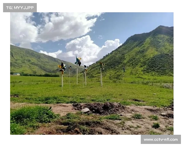 草原“村排”活动吸引程序员其其格拆年假回乡,只为打一场“晚霞场” 草原“村排”活动吸引程序员其其格拆年假回乡,只为打一场“晚霞场”